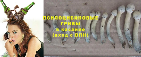 экстази Алексин