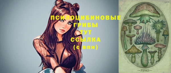 амфетамин Алексеевка