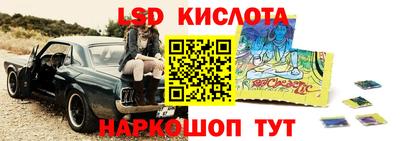 индика Кузнецк