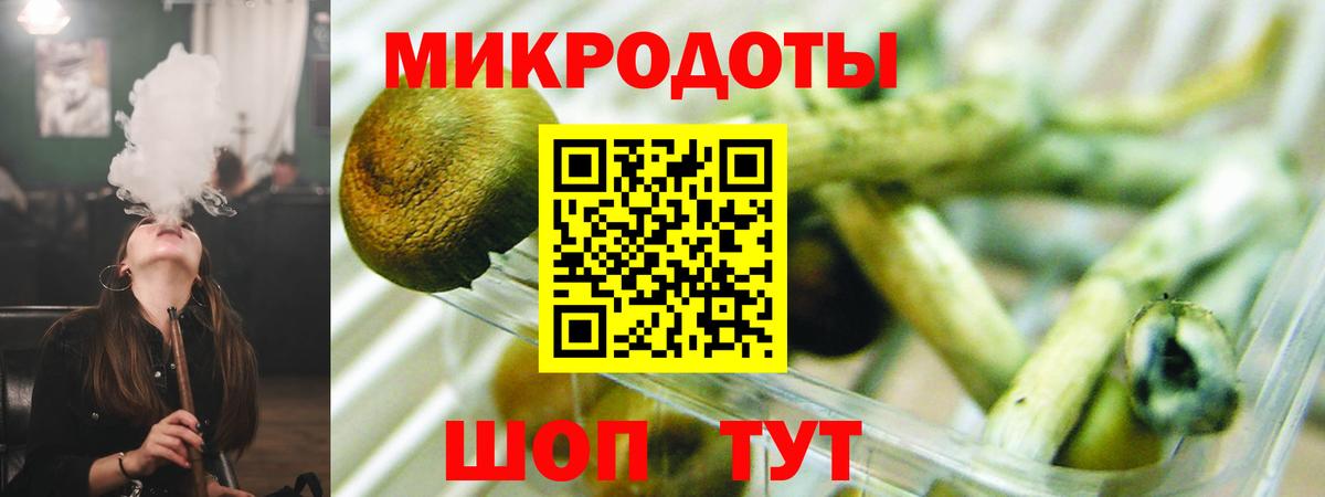 Канск  Галлюциногенные грибы GOLDEN TEACHER  где купить наркотик  Вход с VPN 